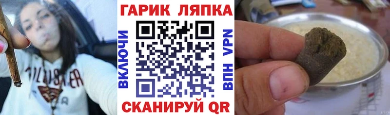 МЕГА ссылки  Стародуб  ГАШ гарик 